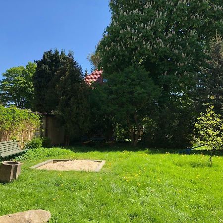 Apartament Warecka Apartment Malbork Luaran gambar